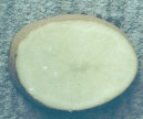 Sliced tuber