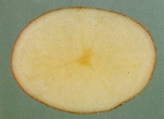 Sliced tuber