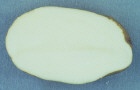 Sliced Tuber