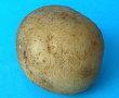 Tuber