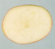 Sliced tuber