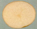 Sliced tuber