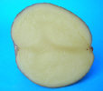 Sliced tuber