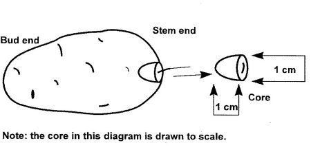 Diagram 1: How to take a core from a tuber