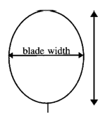 The overall blade shape is determined by the blade width/lamina length ratio