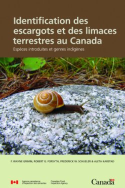 Image - Identification des escargots et des limaces terrestres au Canada
