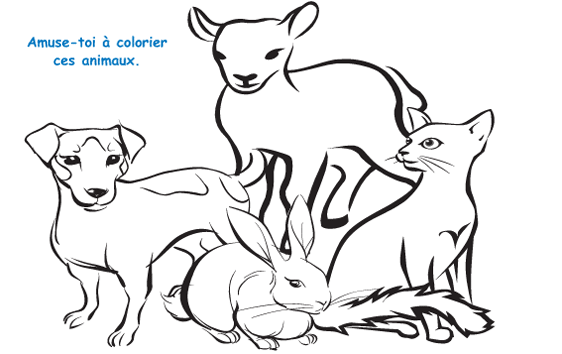 images des animaux pour colorier - chat, lapin, chien, cerf, agneau, pouliche