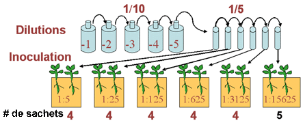 Ce diagramme montre des dilutions pour la détermination du nombre le plus probable - Dilution 1/10 & 1/5, Inoculation, Nombre de sachets