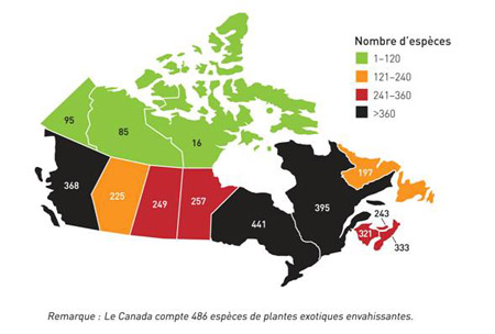 Figure 1. Nombre d'espèces de plantes envahissantes au Canada, selon la province ou le territoire