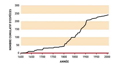 Figure 8. Nombre cumulatif d’espèces de plantes exotiques envahissantes introduites au Canada entre 1605 et 2005, pour lesquelles il est possible d’estimer la date d’introduction