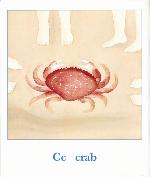 Page from book, BY THE SEA: AN ALPHABET BOOK, featuring the word CRAB and an illustration of a crab on a beach