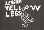 Page tirée du livre ALPHABET BOOK, avec une illustration d'un oiseau et les mots LESSER YELLOW LEGS