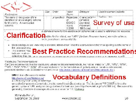 Page from CanCore Guidelines 1.9 - Example 4: Vocabulary Definitions