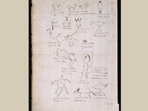 Page tirée du Traité de paix, Montréal 1701, où les chefs ont signé de leurs totems