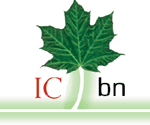 Logo de l'Initiative canadienne sur les bibliothèques numériques (ICBN)