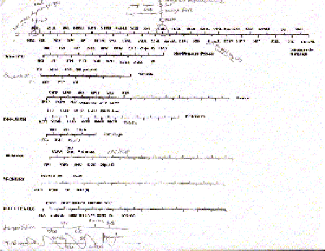 Drawing of the first attempt to create the main lines of the MetaMap