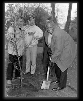 Photo: Oscar Peterson plants an honorary tree